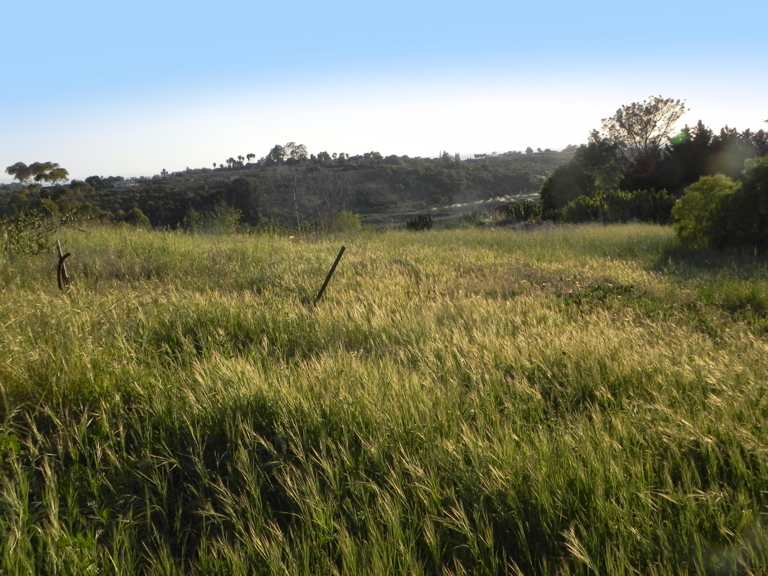 6925 Shepard Mesa Road Carpinteria, CA 93013 - Photo 6 of 17 6