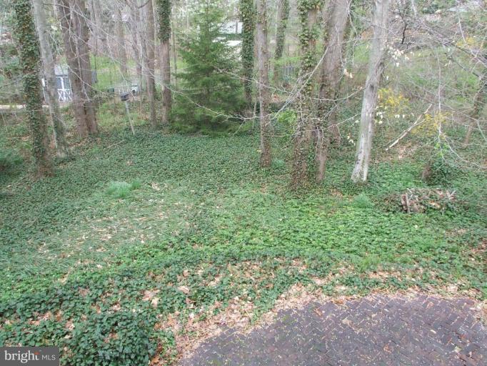 9722 Fernwood Road Bethesda, MD 20817 - Photo 21 of 24 Back yard