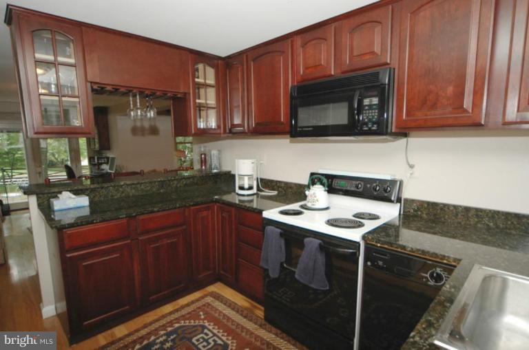 301 Old Courthouse Road Northeast Vienna, VA 22180 - Photo 14 of 19 In Law suite kitchen