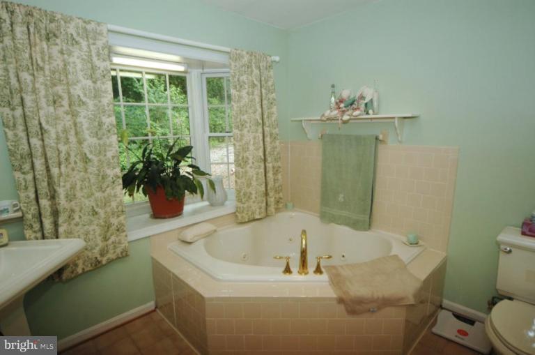 301 Old Courthouse Road Northeast Vienna, VA 22180 - Photo 16 of 19 Master Bath