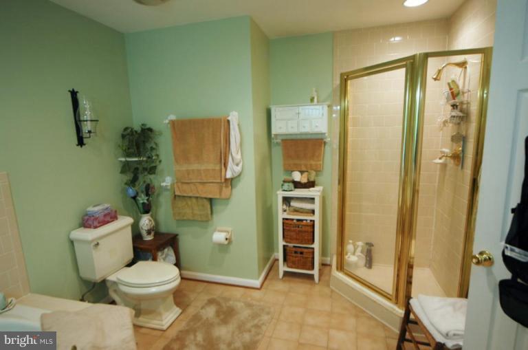 301 Old Courthouse Road Northeast Vienna, VA 22180 - Photo 17 of 19 Master Bath #2