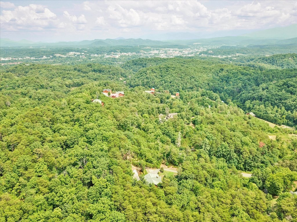 1035 Shadow Ridge Drive Sevierville, TN 37862 - Photo 32 of 33 Gallery Image 32