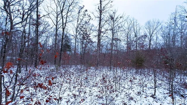 $70,000 | 0 Foxtrot Road, Cadet, MO 63630