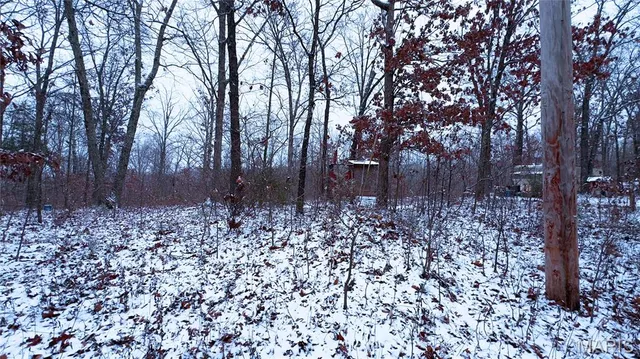 $70,000 | 0 Foxtrot Road, Cadet, MO 63630