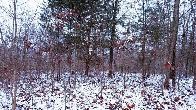 $70,000 | 0 Foxtrot Road, Cadet, MO 63630