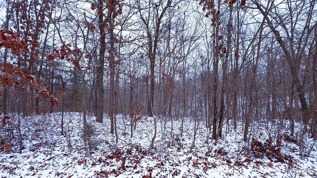 $70,000 | 0 Foxtrot Road, Cadet, MO 63630