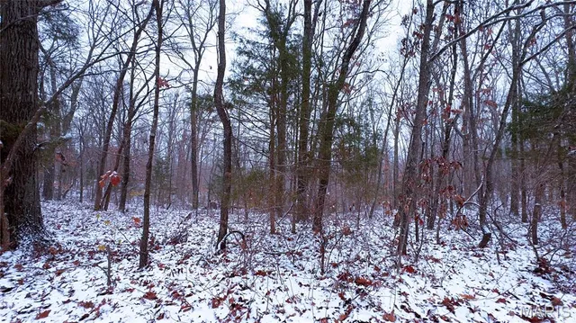 $70,000 | 0 Foxtrot Road, Cadet, MO 63630