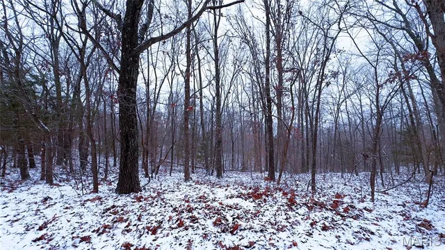 $70,000 | 0 Foxtrot Road, Cadet, MO 63630