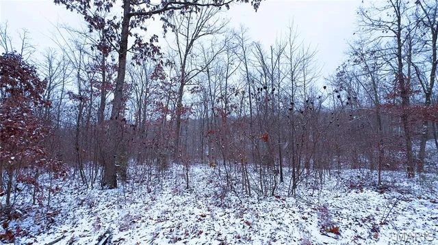 $70,000 | 0 Foxtrot Road, Cadet, MO 63630