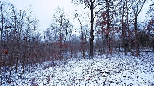 $70,000 | 0 Foxtrot Road, Cadet, MO 63630