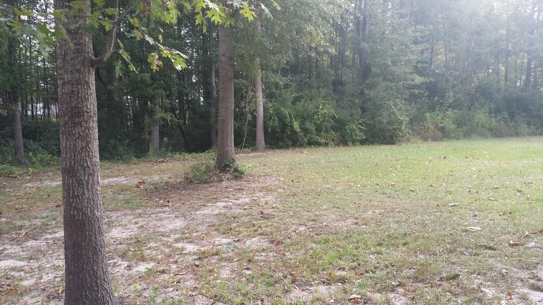 146 Eagle Point Road Cross, SC 29436 - Photo 2 of 11 Eagle 2