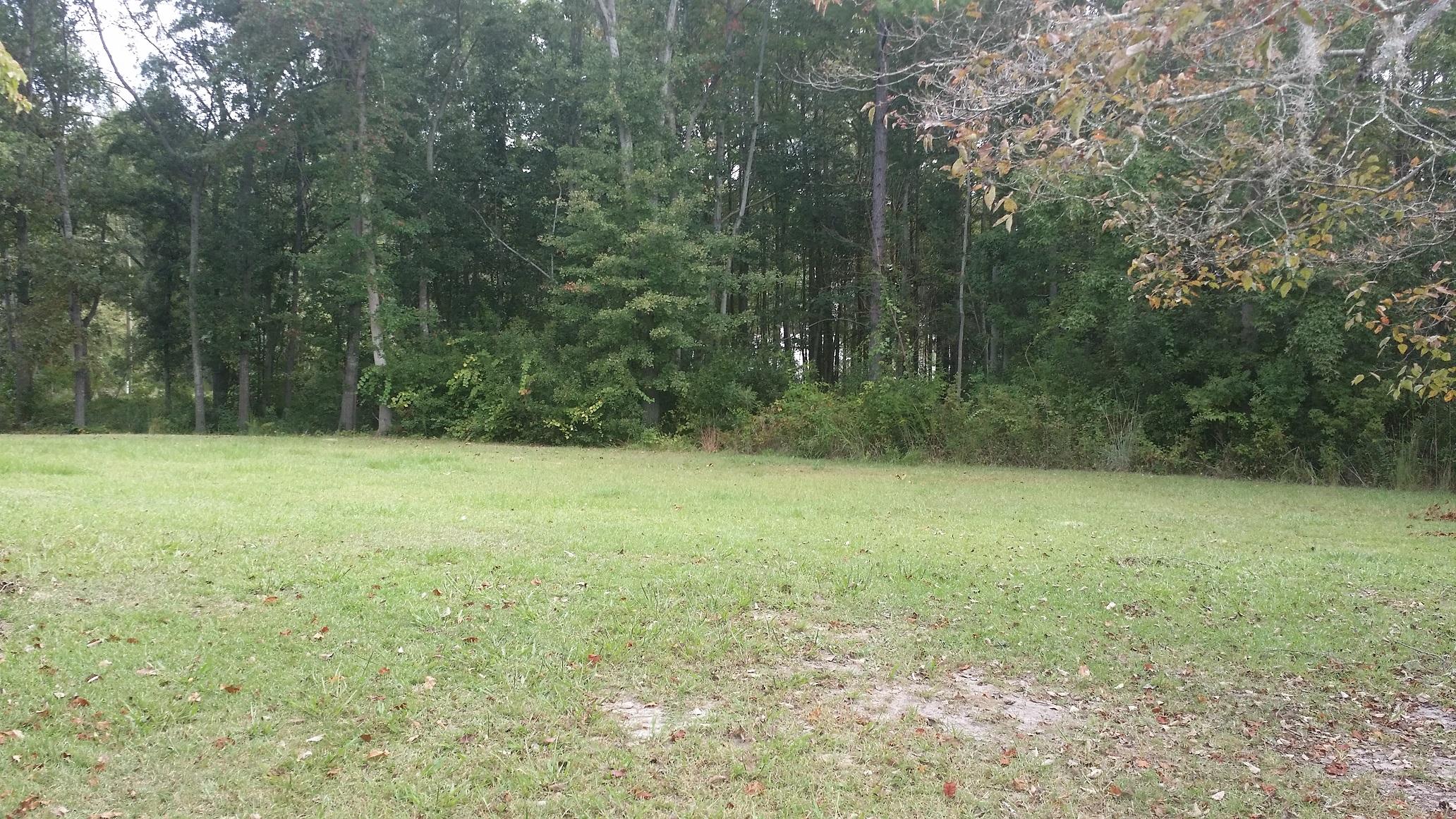 146 Eagle Point Road Cross, SC 29436 - Photo 11 of 11 Ealge 12