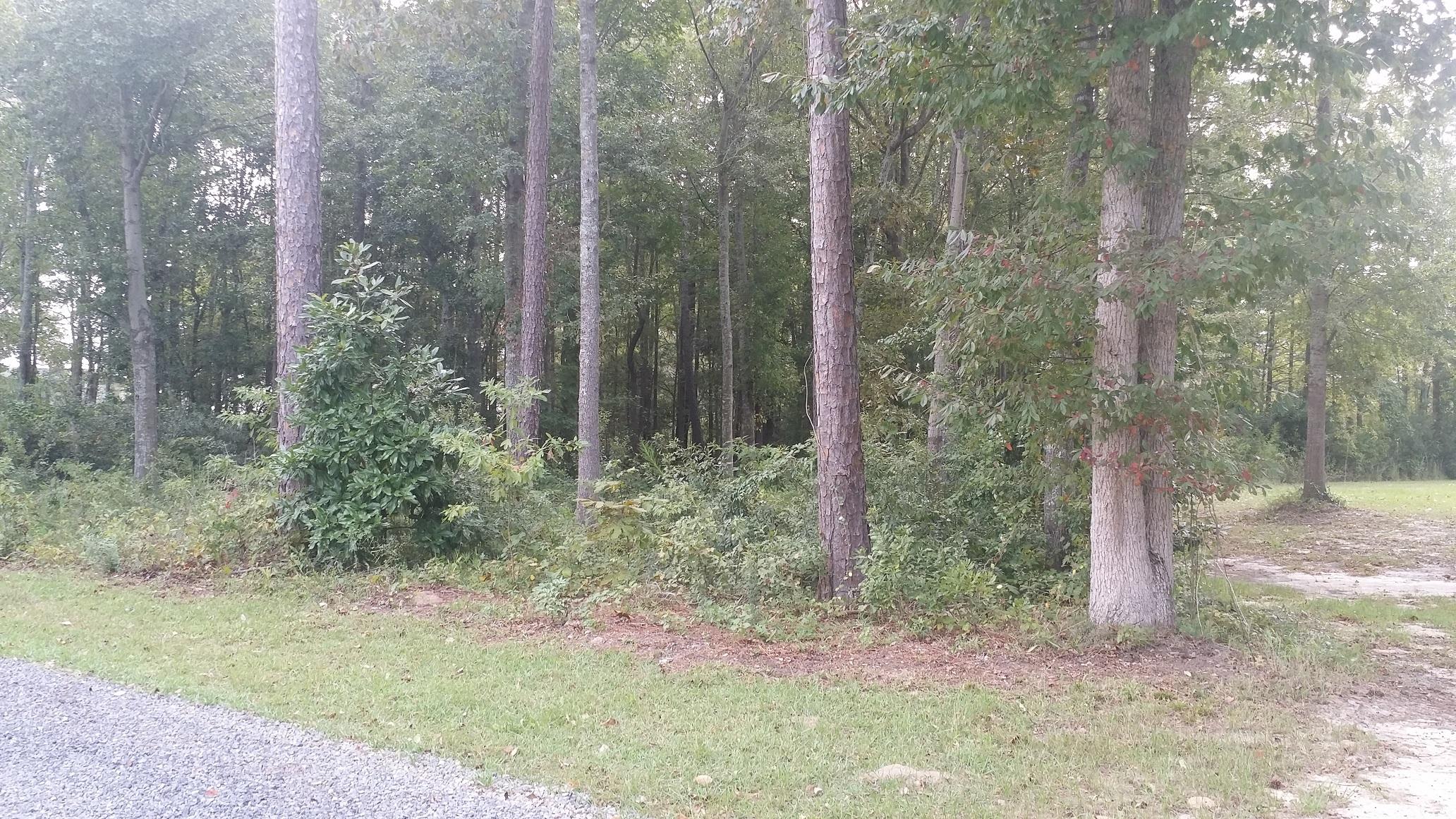 146 Eagle Point Road Cross, SC 29436 - Photo 3 of 11 Eagle 3
