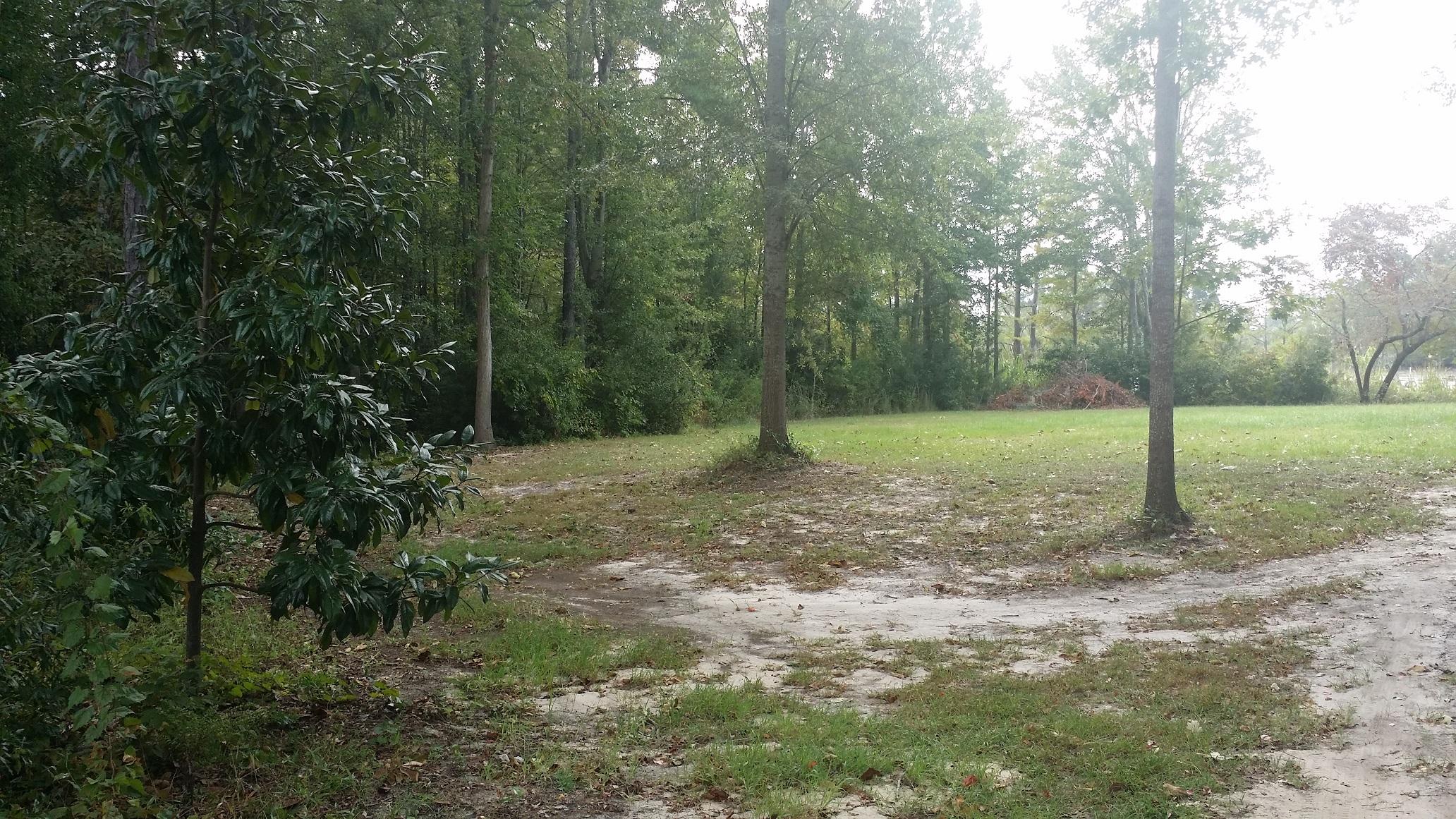 146 Eagle Point Road Cross, SC 29436 - Photo 4 of 11 Eagle 4