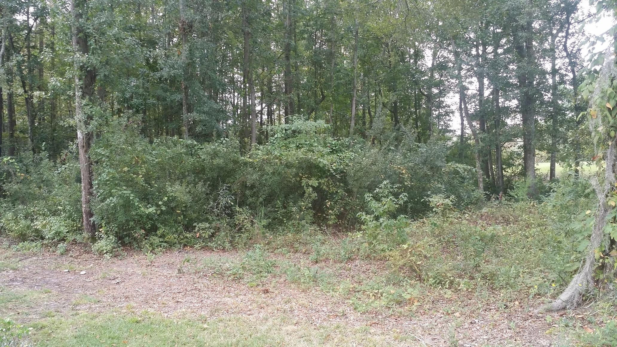146 Eagle Point Road Cross, SC 29436 - Photo 10 of 11 Eagle 11
