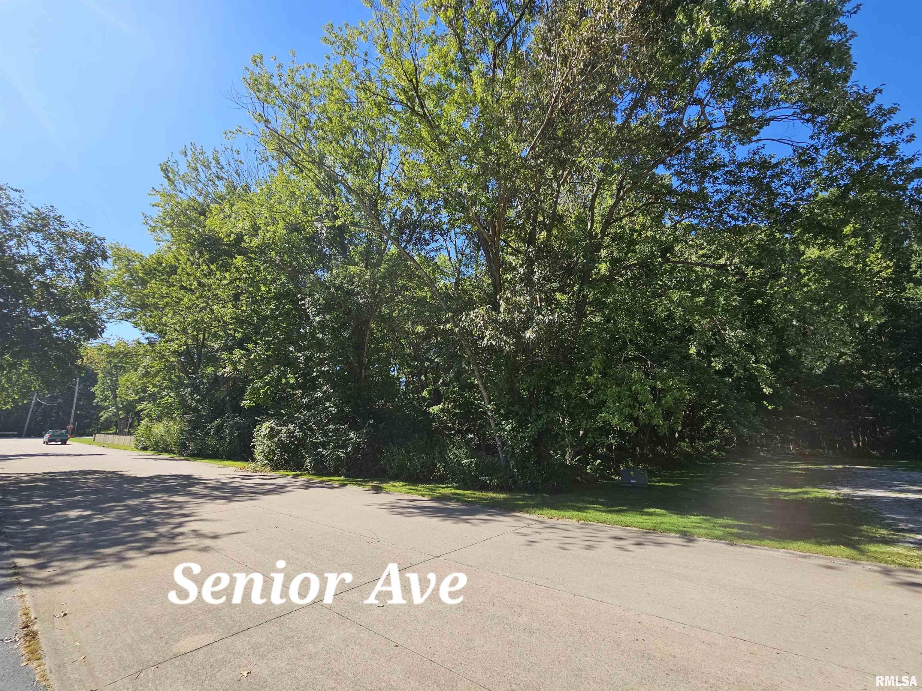 Tbd Senior Avenue Vienna, IL 62995 - Photo 1 of 2