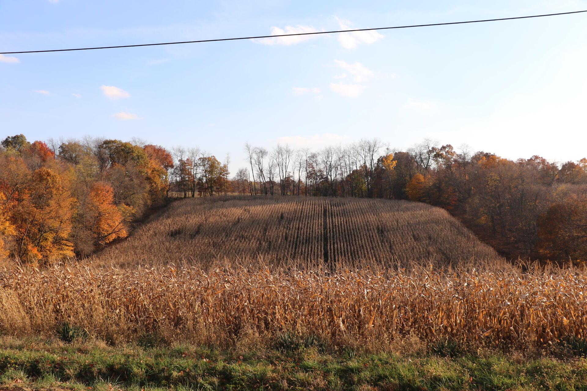 0 Northeast Blacksnake Road Utica, OH 43080 - Photo 2 of 5 Blacksnake 3