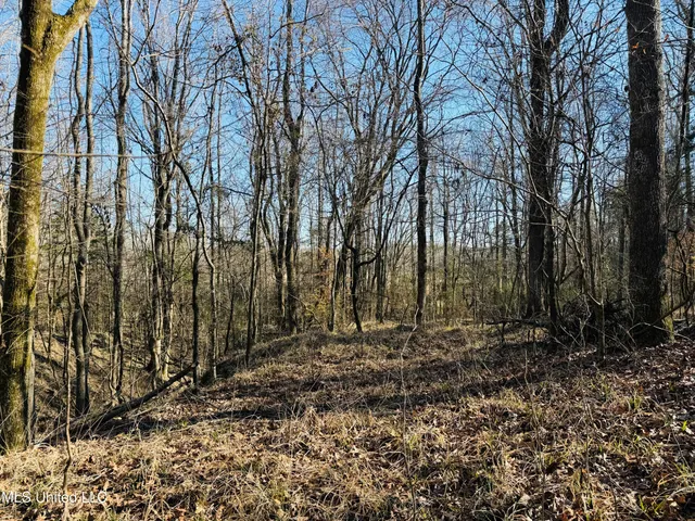 $330,000 | 24929 Highway 12, Lexington, MS 39095