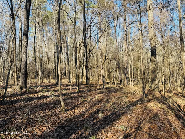 $330,000 | 24929 Highway 12, Lexington, MS 39095