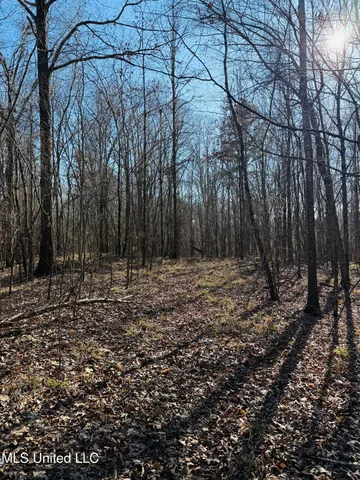 $330,000 | 24929 Highway 12, Lexington, MS 39095