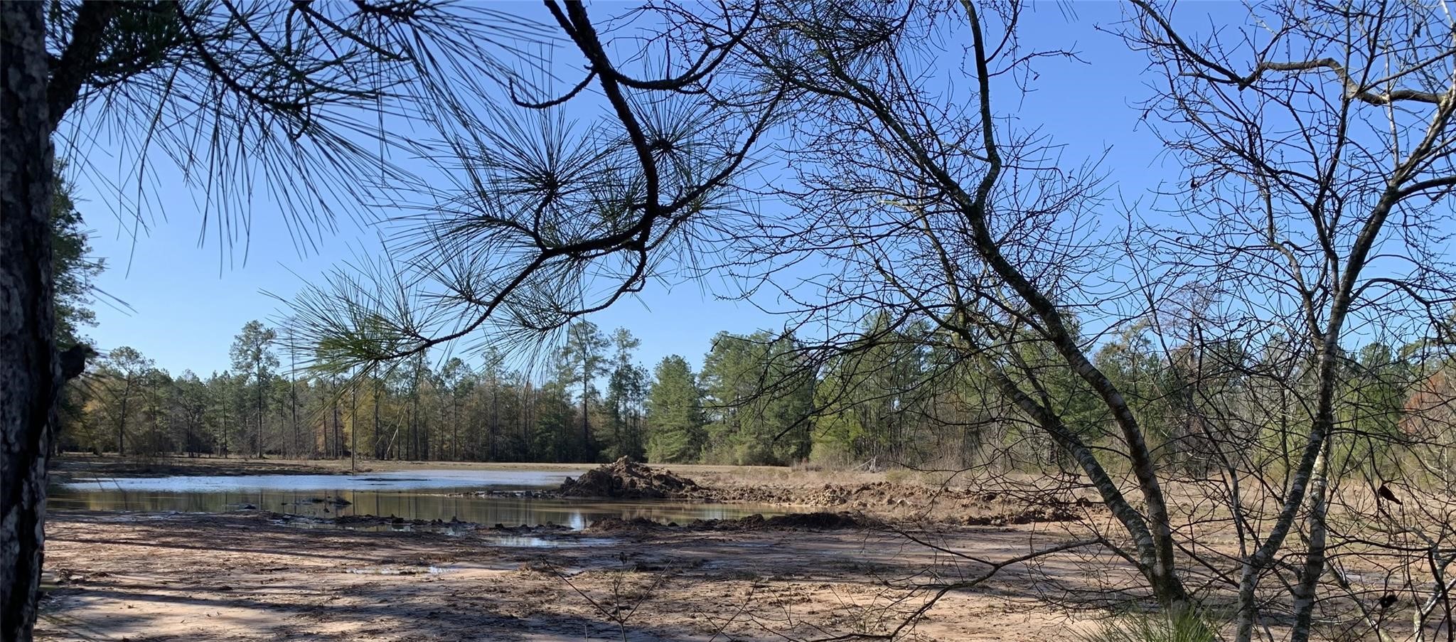 240 County Road 893 Vidor, TX 77662 - Photo 2 of 6 a view of a yard with large trees