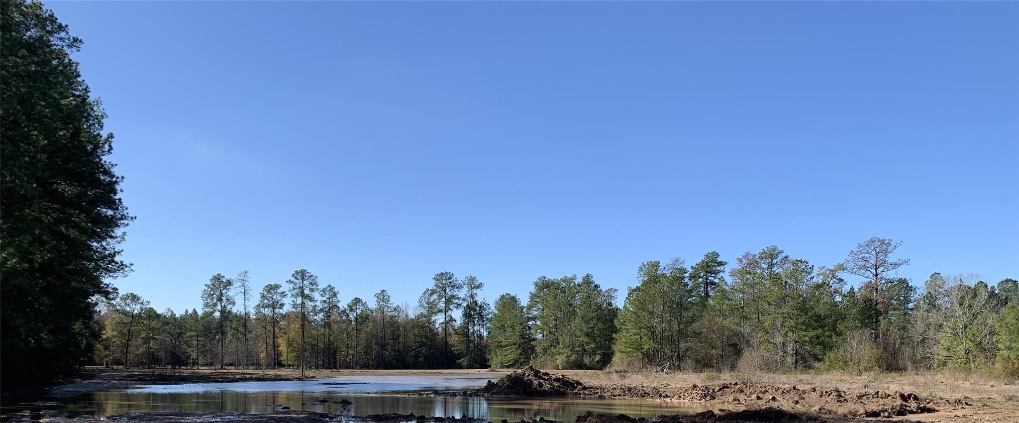 240 County Road 893 Vidor, TX 77662 - Photo 3 of 6 a view of a town with trees in the background