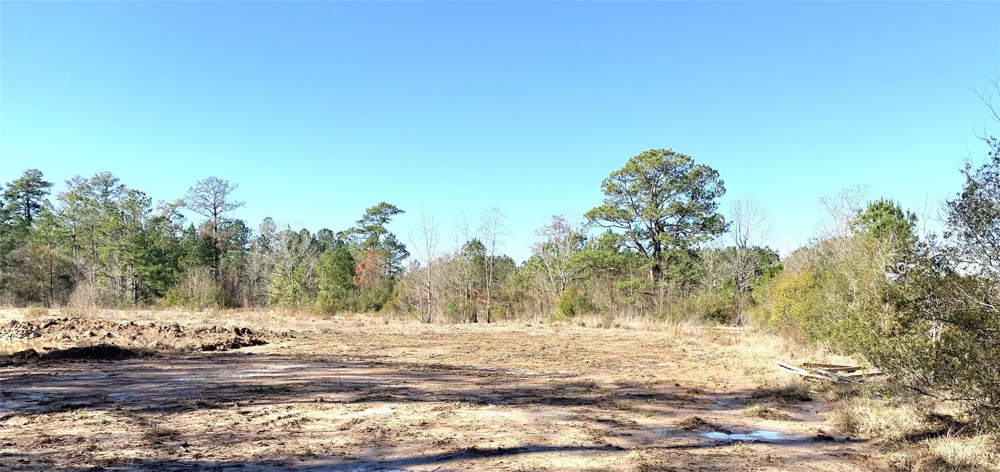 240 County Road 893 Vidor, TX 77662 - Photo 4 of 6 a view of a yard with trees