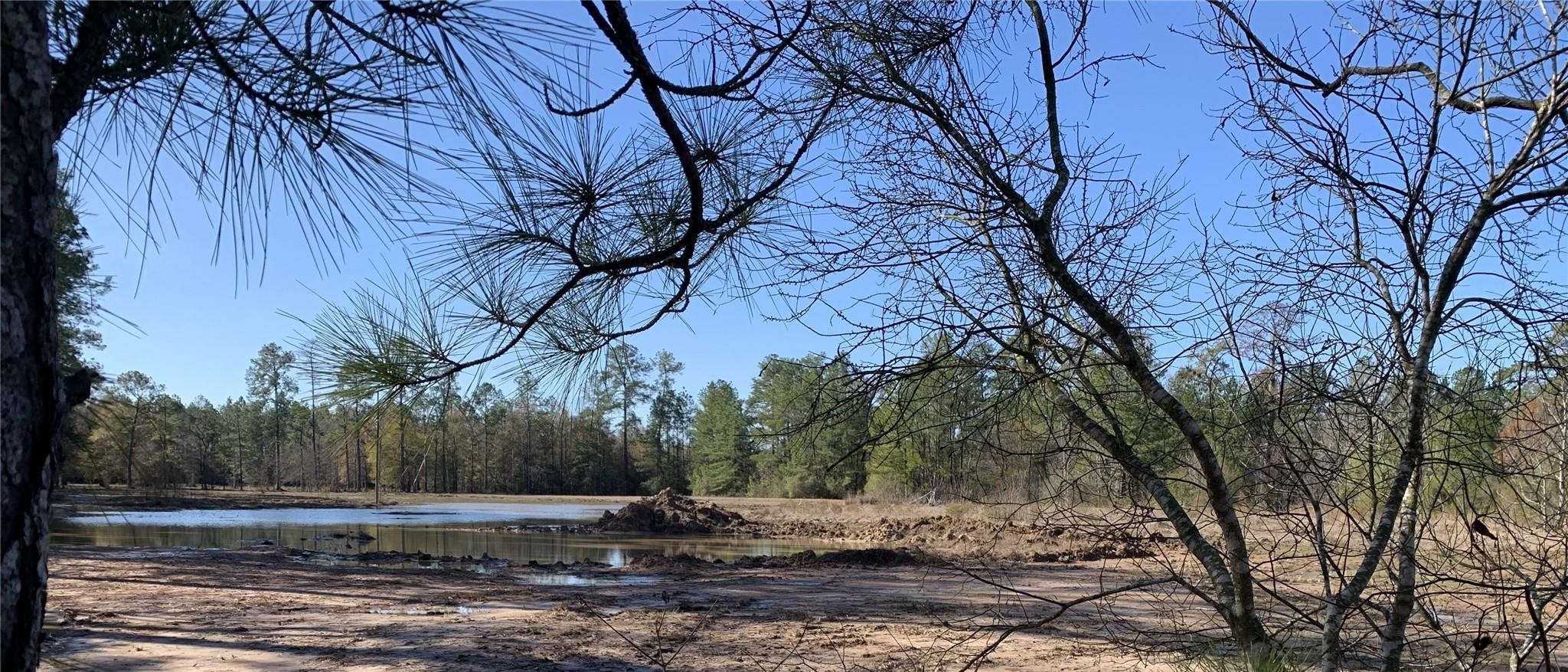 240 County Road 893 Vidor, TX 77662 - Photo 6 of 6 a view of a backyard of the house