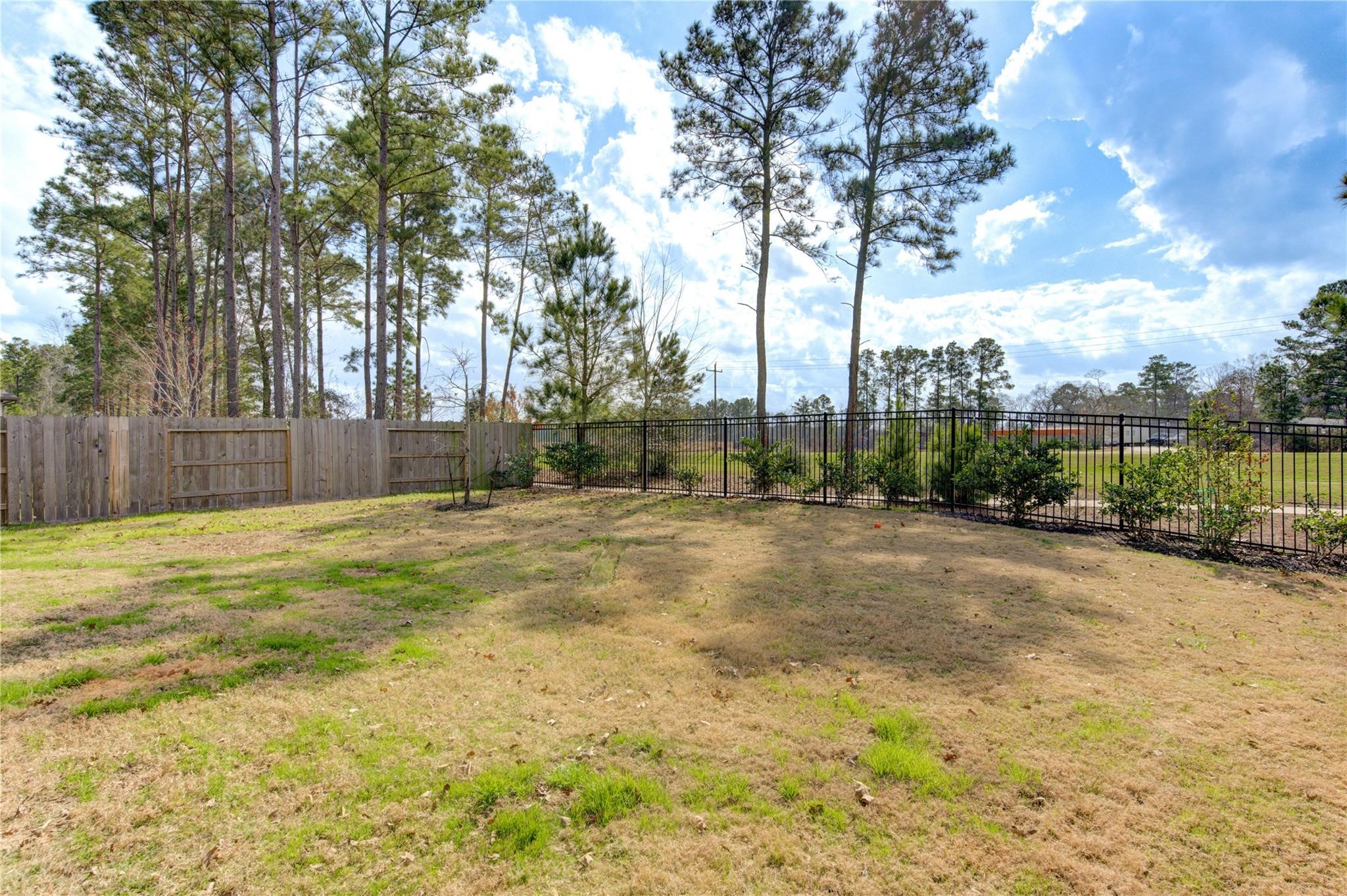 17530 Sunset Skies Road Conroe, TX 77302 - Photo 41 of 47 a view of yard with tree and wooden fence