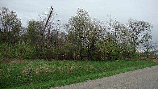 1 1950th Road Tonica, IL 61370 - Photo 3 of 6