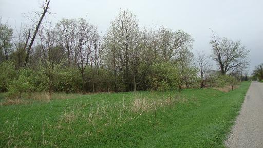 1 1950th Road Tonica, IL 61370 - Photo 4 of 6