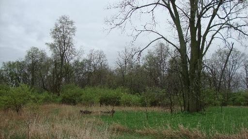1 1950th Road Tonica, IL 61370 - Photo 5 of 6