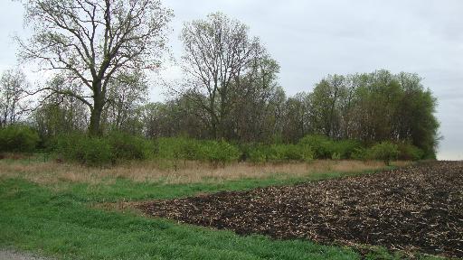 1 1950th Road Tonica, IL 61370 - Photo 6 of 6