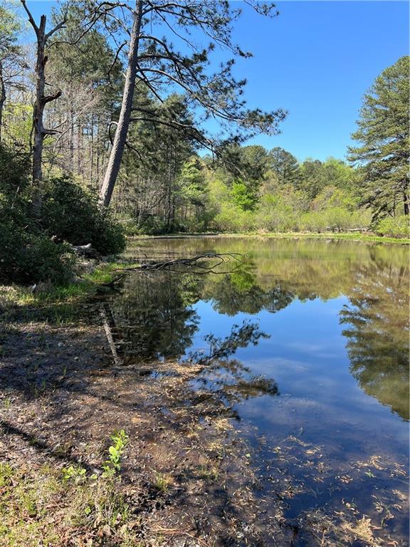 1187 Fincher Road Canton, GA 30114 - Photo 20 of 22