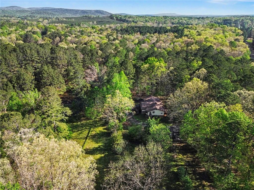 1187 Fincher Road Canton, GA 30114 - Photo 10 of 22