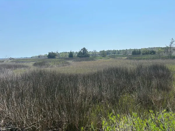 $985,500 | 2035 Sol Legare Road, Charleston, SC 29412