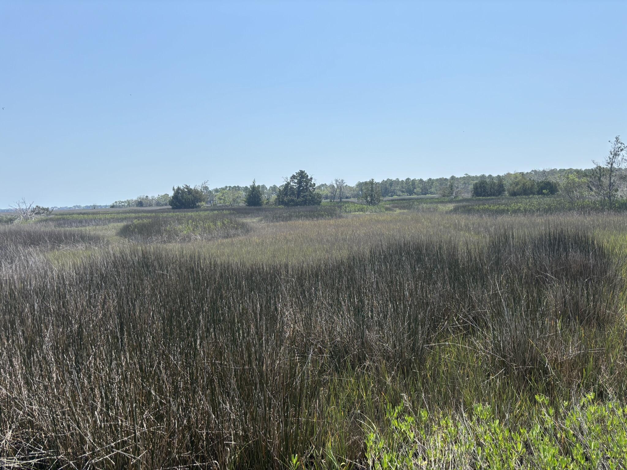2035 Sol Legare Road Charleston, SC 29412 - Photo 1 of 26 IMG_2288