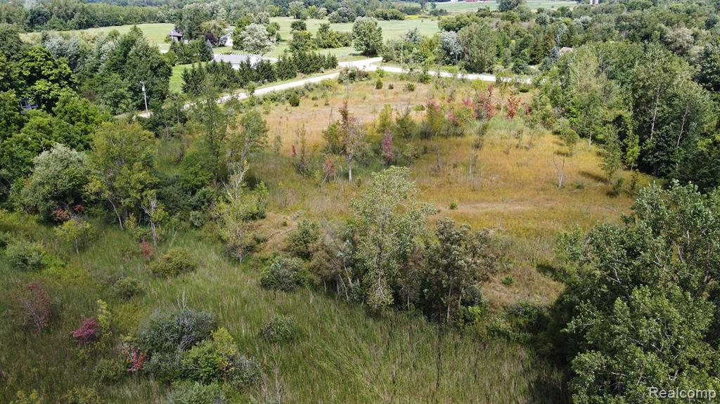 8910 Petz Road Imlay City, MI 48444 - Photo 59 of 62