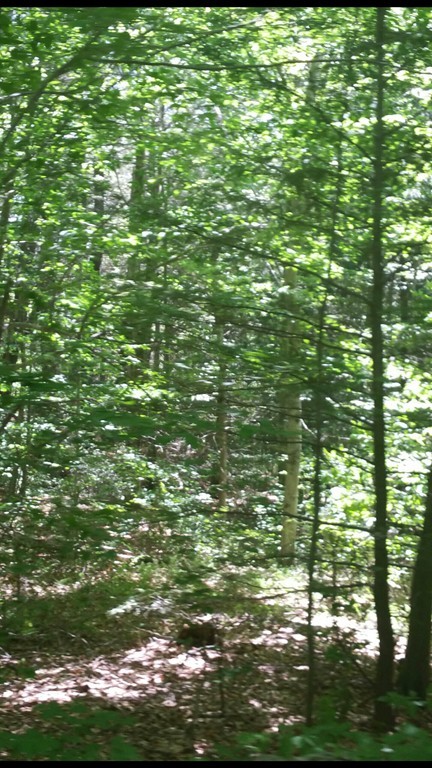 Lot 2 Munson Road Chesterfield, MA 01012 - Photo 3 of 4 Gallery Image 3