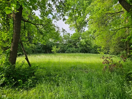 $105,000 | 4456 Caroline Street, Indianapolis, IN 46205