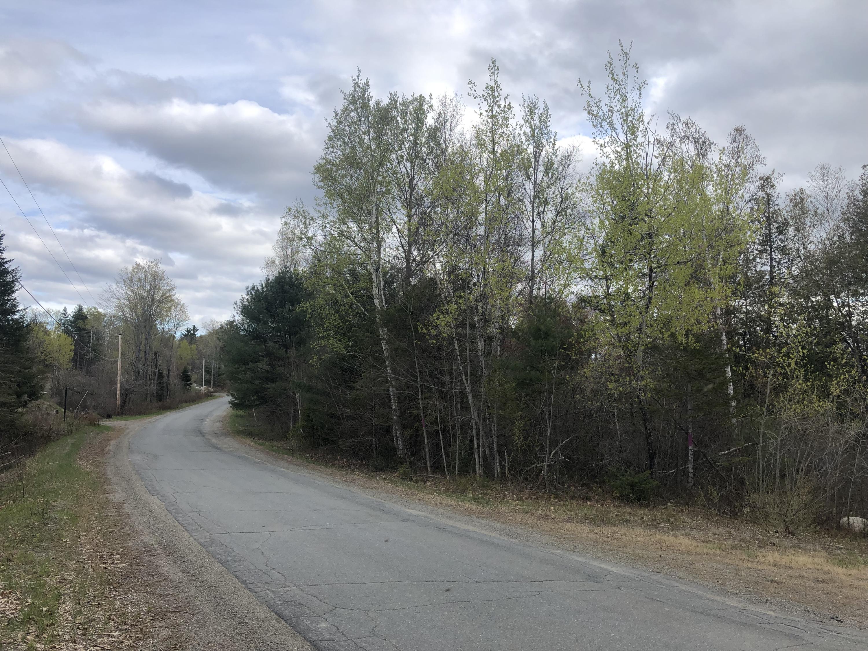 220 Goulds Ridge Road Passadumkeag, ME 04475 - Photo 3 of 12 IMG_4165