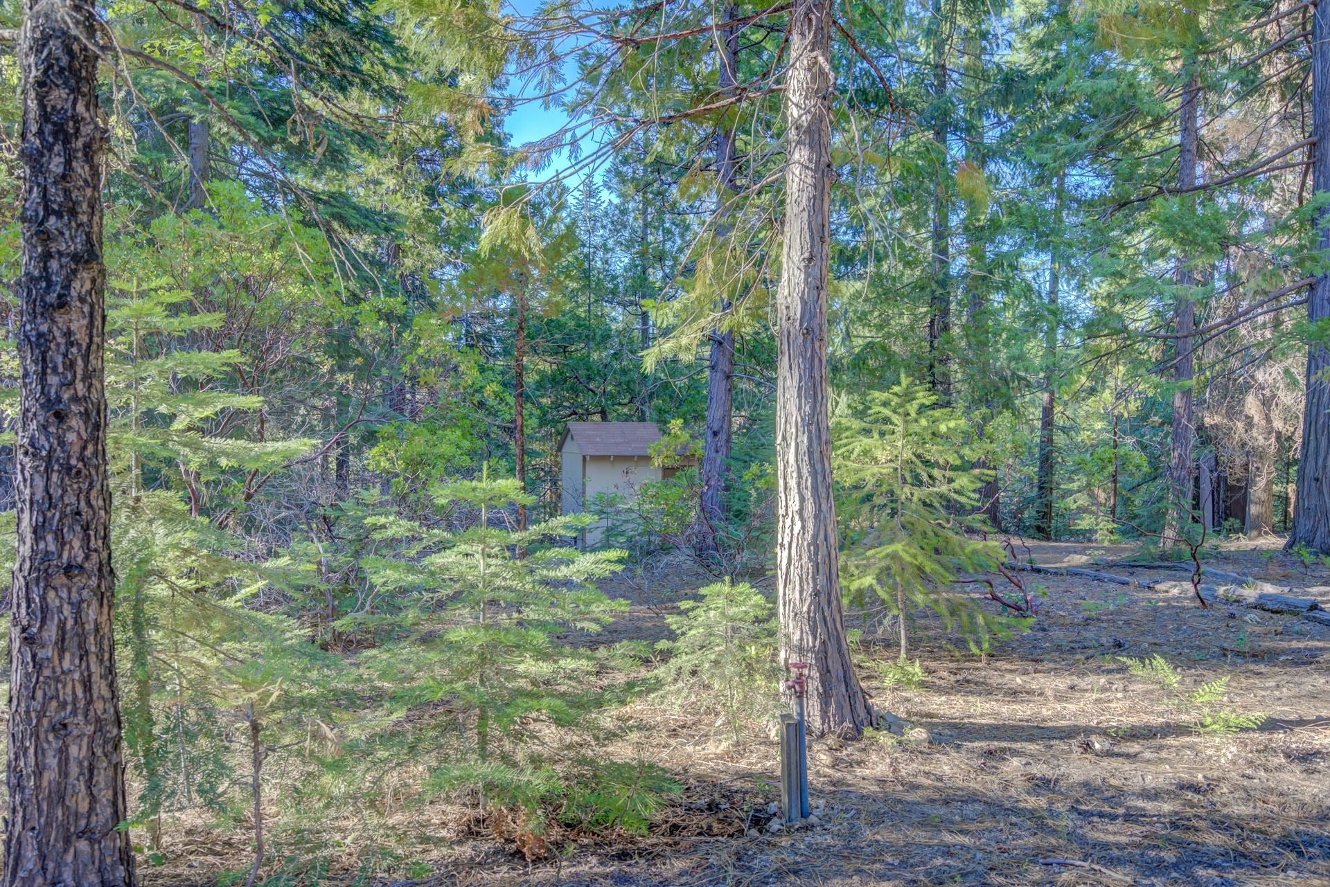 7729 Sugar Pine Road Weed, CA 96094 - Photo 21 of 26 Gallery Image 21