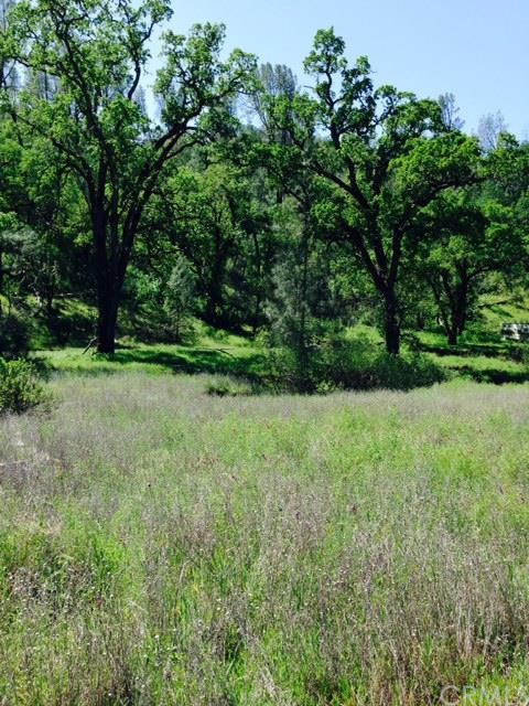18655 Cantwell Ranch Road Lower Lake, CA 95457 - Photo 1 of 1 Gallery Image 1