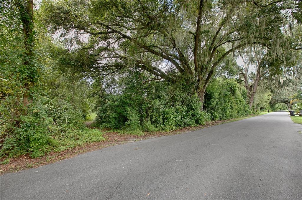 607b Bushnell Bushnell, FL 33513 - Photo 1 of 1 a view of a green field with trees in the background