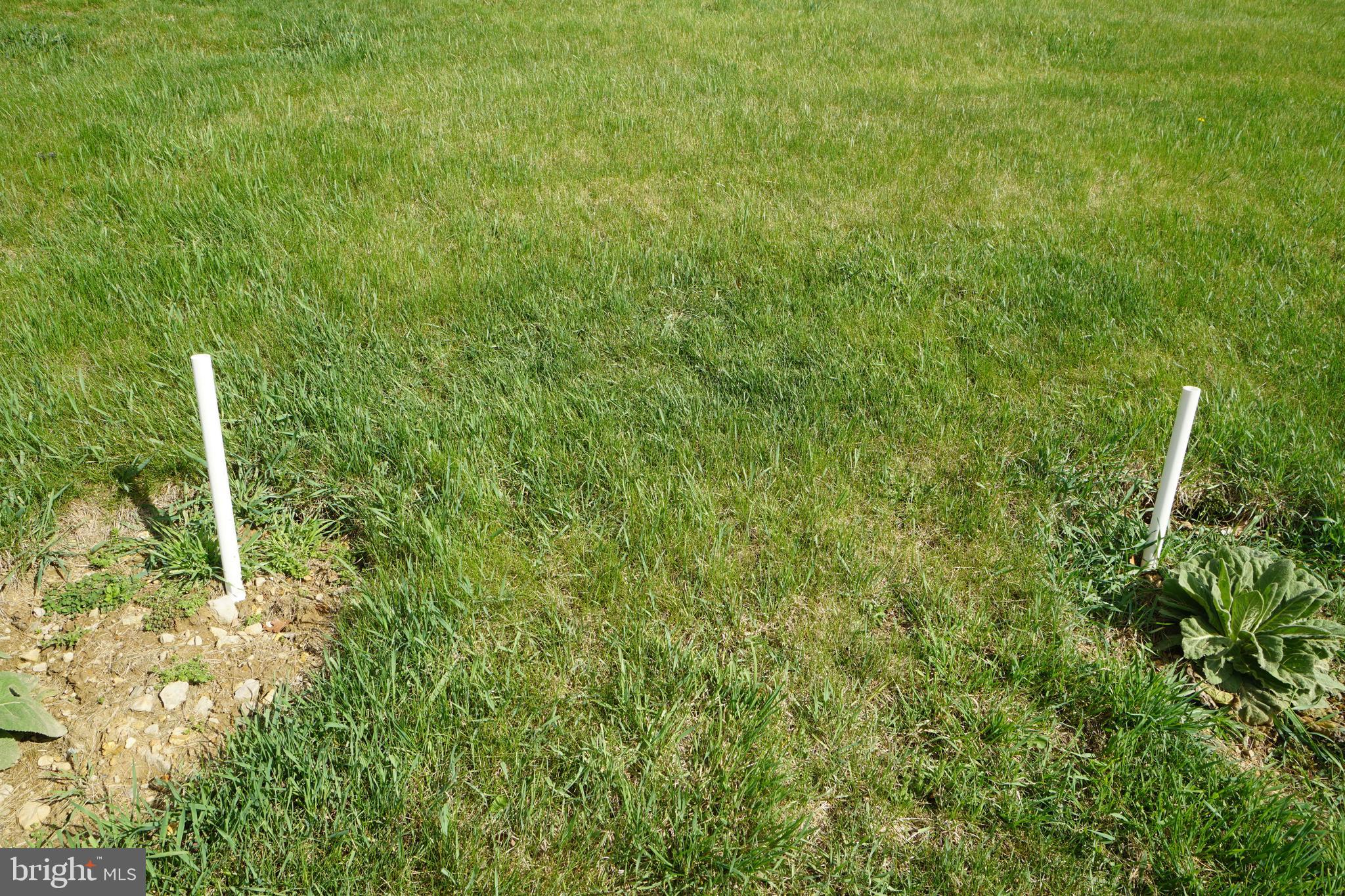 1873 Capito Hill Road Franklin, WV 26807 - Photo 70 of 72