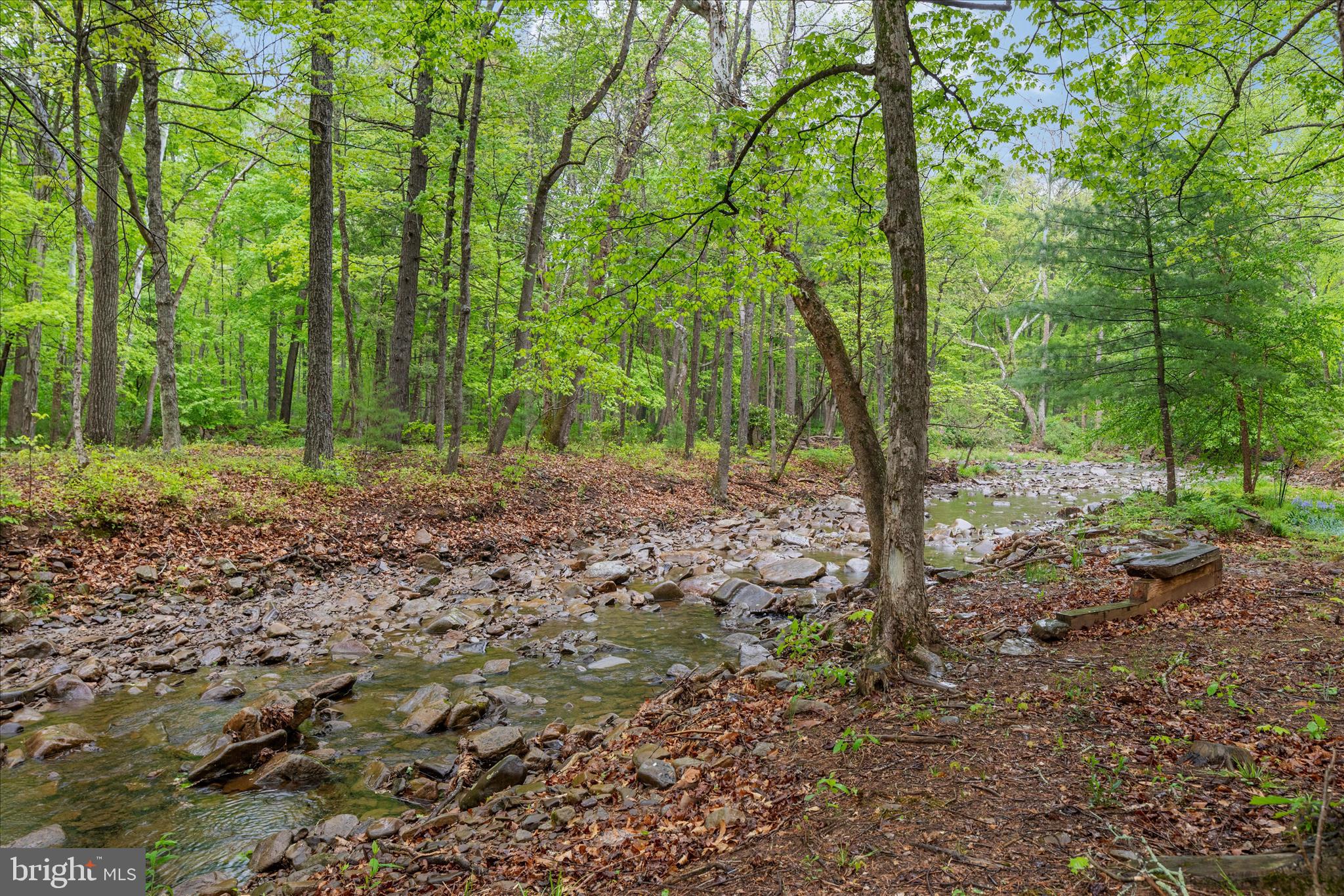 13581 Ford Hill Road Rio, WV 26755 - Photo 46 of 70 2E6A1218_13581 Ford Hill Rd - Absolute Altitude -