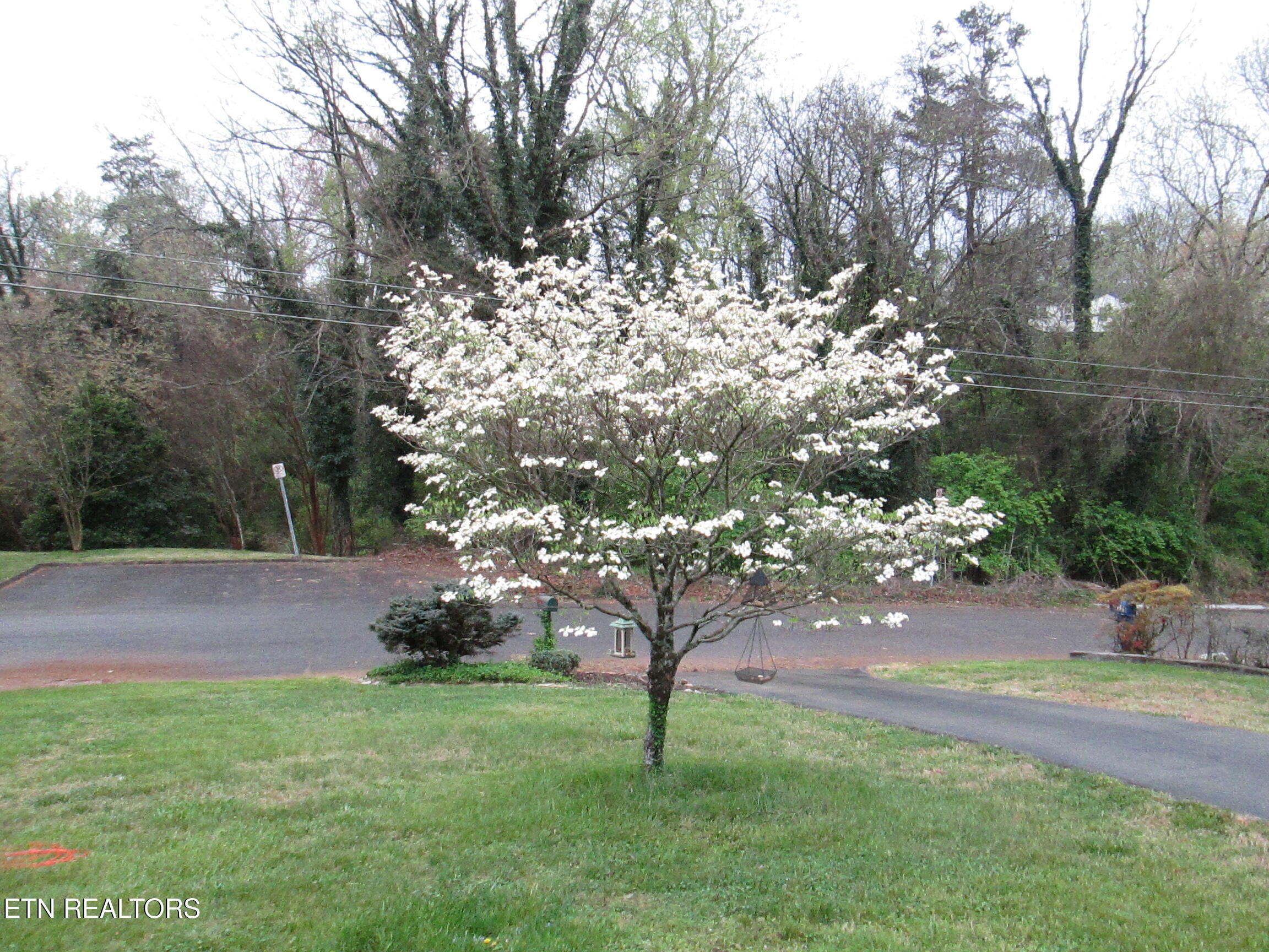 5712 Scenichills Road Knoxville, TN 37912 - Photo 32 of 33 IMG_1853