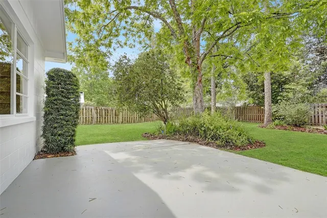 a view of backyard with potted plants and large tree