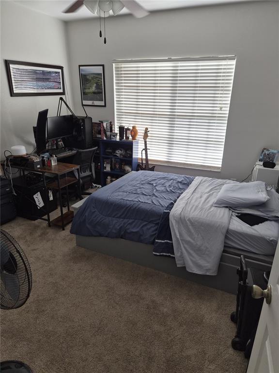 658 Green Valley Road, Unit B3 Palm Harbor, FL 34683 - Photo 14 of 25