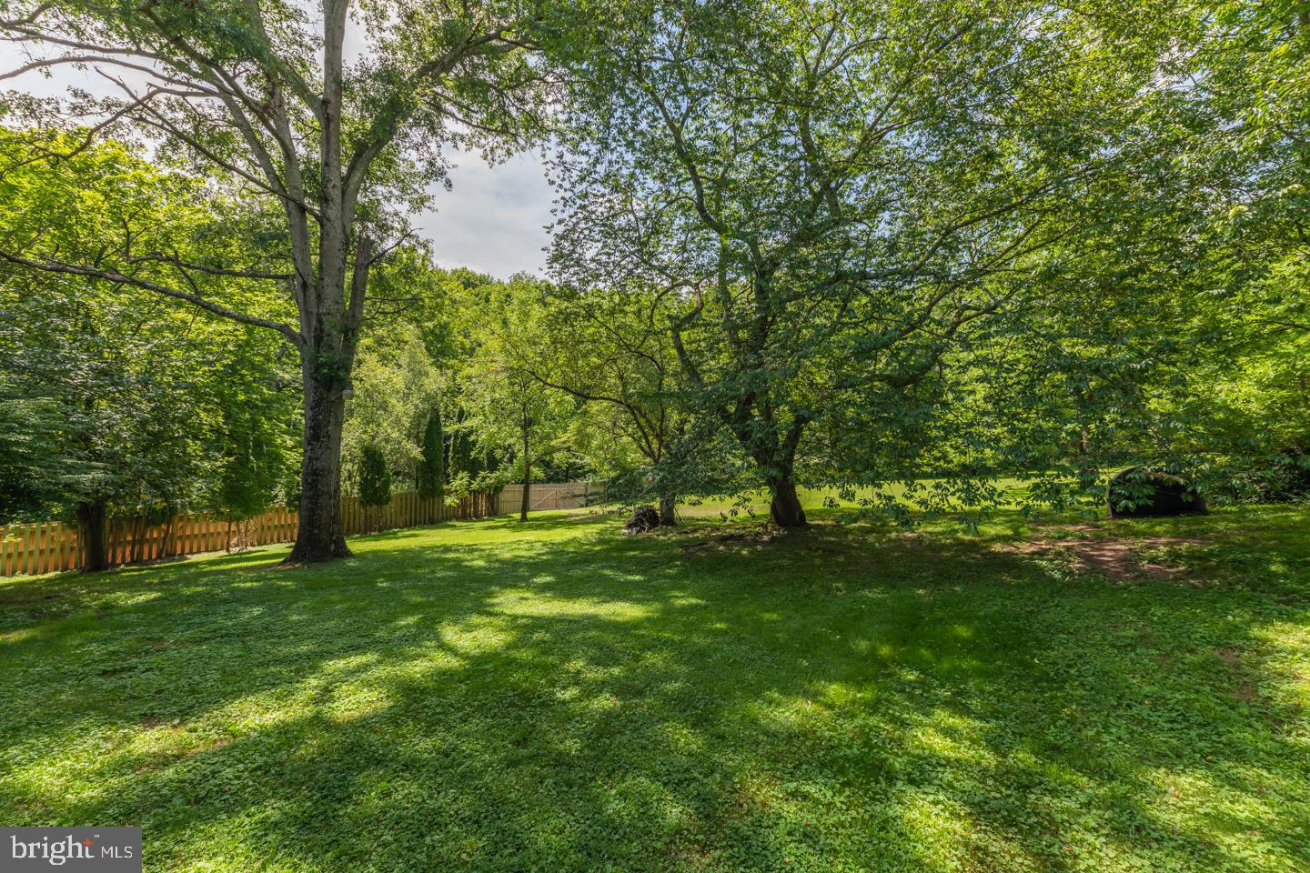 80 Red Cliff Road Upper Black Eddy, PA 18972 - Photo 12 of 70 Peace and quiet on 81+ acres